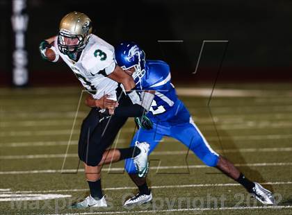 Thumbnail 2 in Birdville @ Carter-Riverside photogallery.