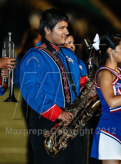 Thumbnail 1 in Birdville @ Carter-Riverside photogallery.