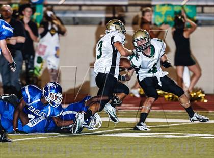 Thumbnail 3 in Birdville @ Carter-Riverside photogallery.