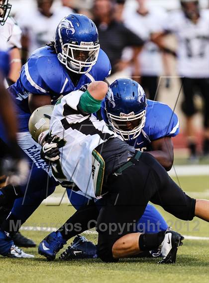 Thumbnail 1 in Birdville @ Carter-Riverside photogallery.