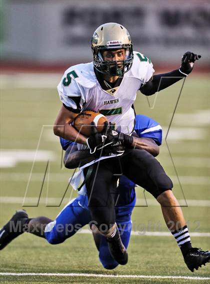 Thumbnail 2 in Birdville @ Carter-Riverside photogallery.