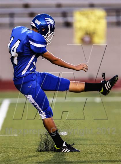 Thumbnail 3 in Birdville @ Carter-Riverside photogallery.