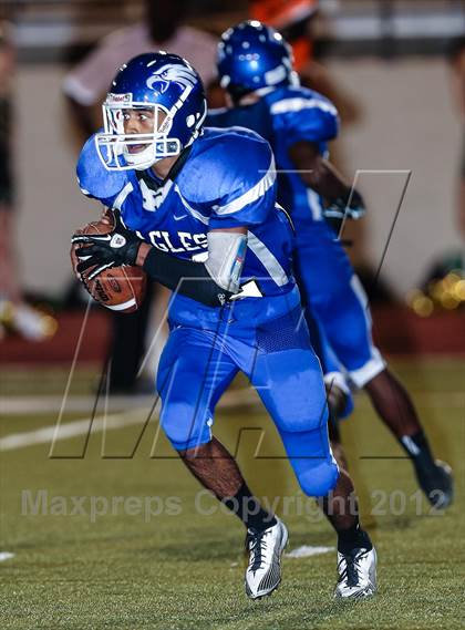 Thumbnail 1 in Birdville @ Carter-Riverside photogallery.