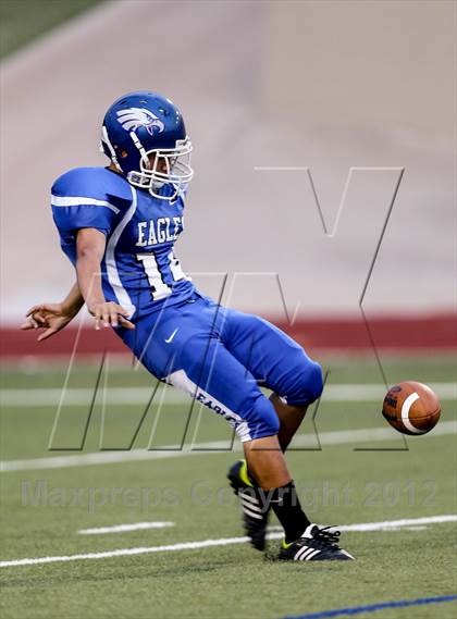 Thumbnail 3 in Birdville @ Carter-Riverside photogallery.