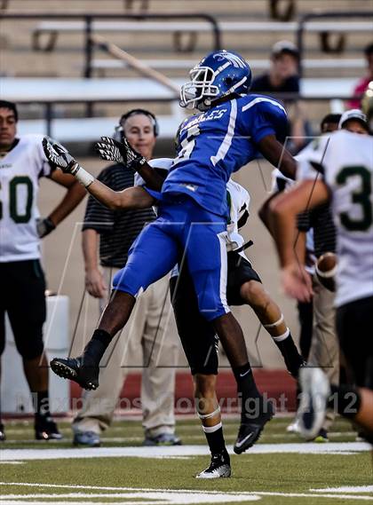 Thumbnail 2 in Birdville @ Carter-Riverside photogallery.