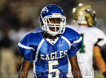 Thumbnail 3 in Birdville @ Carter-Riverside photogallery.