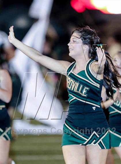 Thumbnail 1 in Birdville @ Carter-Riverside photogallery.