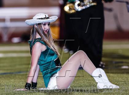 Thumbnail 3 in Birdville @ Carter-Riverside photogallery.