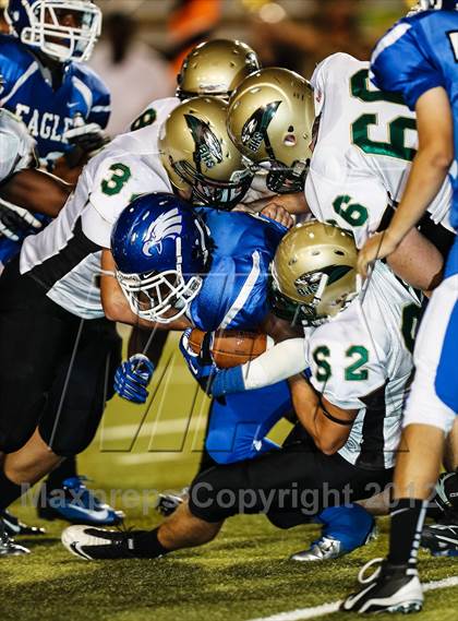 Thumbnail 1 in Birdville @ Carter-Riverside photogallery.