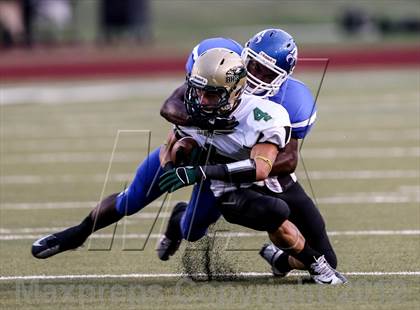 Thumbnail 1 in Birdville @ Carter-Riverside photogallery.