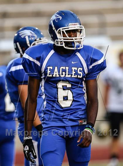 Thumbnail 1 in Birdville @ Carter-Riverside photogallery.