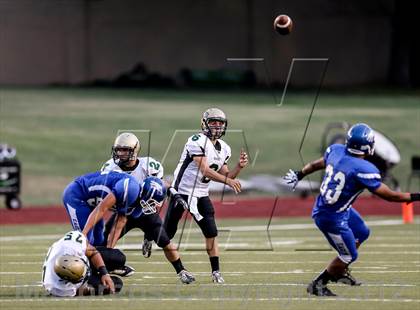 Thumbnail 3 in Birdville @ Carter-Riverside photogallery.