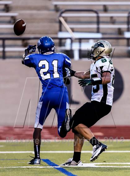 Thumbnail 1 in Birdville @ Carter-Riverside photogallery.