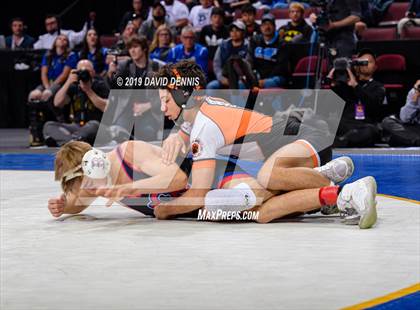 Thumbnail 1 in CIF State Boys Wrestling Championships (Finals) photogallery.