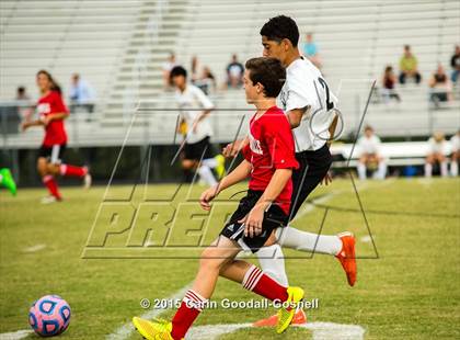 Thumbnail 2 in Jacksonville @ Havelock photogallery.
