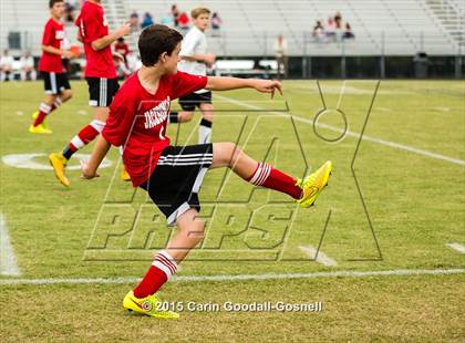 Thumbnail 2 in Jacksonville @ Havelock photogallery.