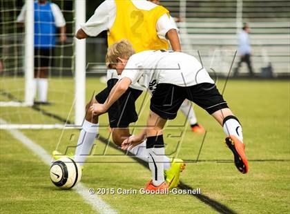 Thumbnail 2 in Jacksonville @ Havelock photogallery.