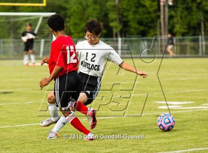Thumbnail 1 in Jacksonville @ Havelock photogallery.