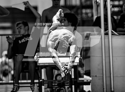 Thumbnail 2 in CIF Central Section Swim Championships photogallery.