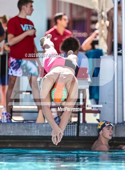 Thumbnail 1 in CIF Central Section Swim Championships photogallery.