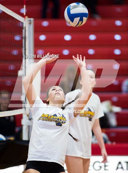 Thumbnail 1 in Panas vs. Vestal (NYSPHSAA Class A Regional Final) photogallery.