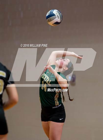 Thumbnail 1 in Panas vs. Vestal (NYSPHSAA Class A Regional Final) photogallery.