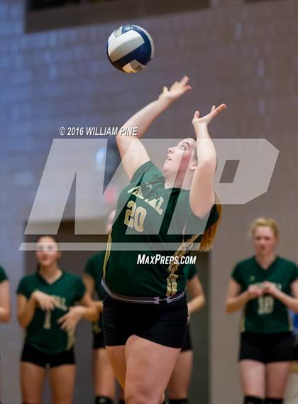 Thumbnail 3 in Panas vs. Vestal (NYSPHSAA Class A Regional Final) photogallery.