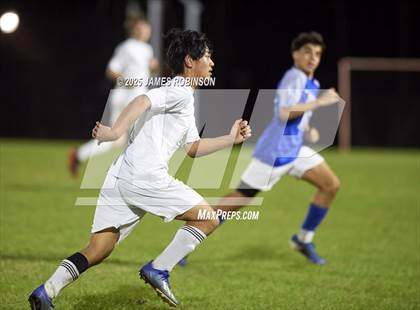 Thumbnail 2 in Yulee @ Stanton photogallery.