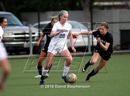 Thumbnail 1 in Archbishop Mitty @ Presentation photogallery.