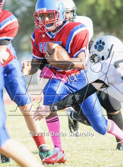 Thumbnail 1 in Imagine Prep Superstition @ James Madison Prep photogallery.