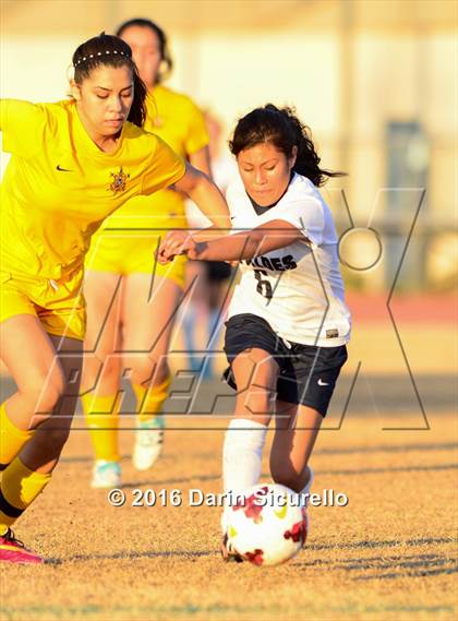 Thumbnail 3 in Marcos de Niza @ Tempe photogallery.