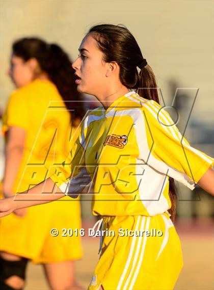 Thumbnail 3 in Marcos de Niza @ Tempe photogallery.