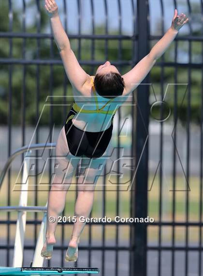 Thumbnail 3 in JV: CIF SJS Girls Diving Finals photogallery.