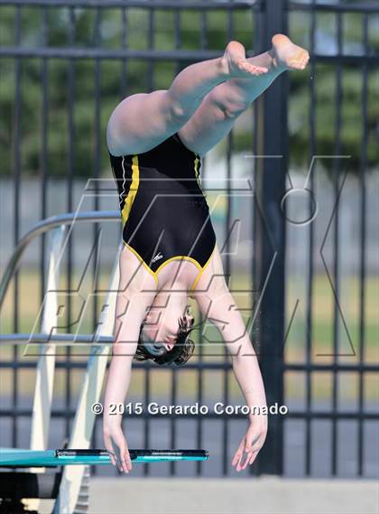 Thumbnail 3 in JV: CIF SJS Girls Diving Finals photogallery.