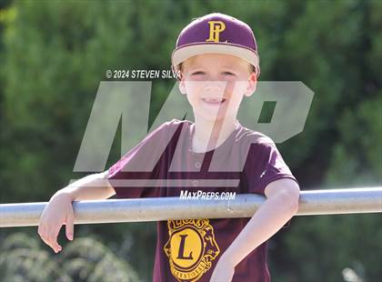 Thumbnail 3 in Maranatha Christian vs. Point Loma (CIF SDS Division 2 Semifinal) photogallery.