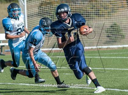Thumbnail 3 in Vista Ridge @ Palmer Ridge photogallery.