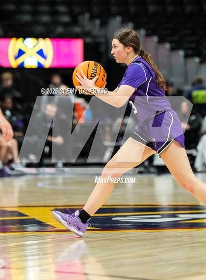 Thumbnail 3 in Denver South vs Dakota Ridge (Ball Arena) photogallery.