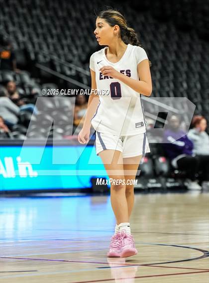 Thumbnail 1 in Denver South vs Dakota Ridge (Ball Arena) photogallery.