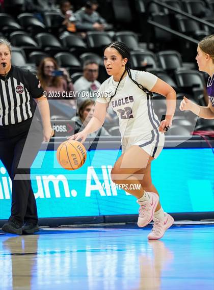 Thumbnail 2 in Denver South vs Dakota Ridge (Ball Arena) photogallery.