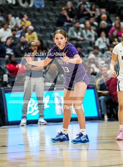 Thumbnail 3 in Denver South vs Dakota Ridge (Ball Arena) photogallery.