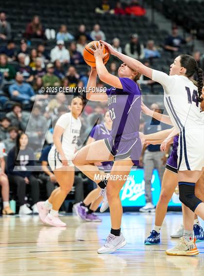 Thumbnail 3 in Denver South vs Dakota Ridge (Ball Arena) photogallery.