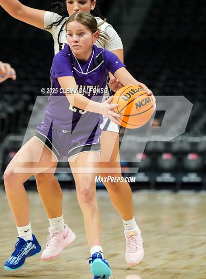 Thumbnail 2 in Denver South vs Dakota Ridge (Ball Arena) photogallery.