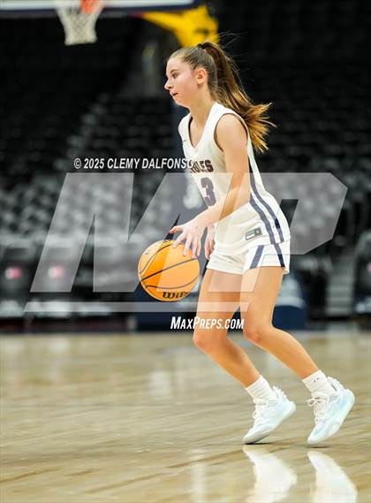 Thumbnail 3 in Denver South vs Dakota Ridge (Ball Arena) photogallery.