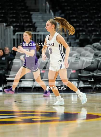 Thumbnail 1 in Denver South vs Dakota Ridge (Ball Arena) photogallery.