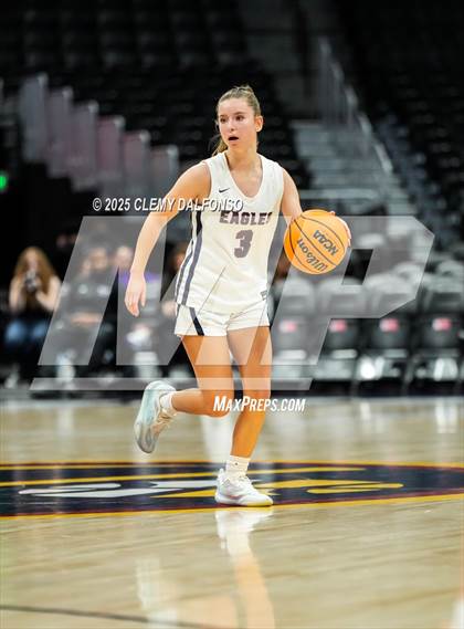 Thumbnail 2 in Denver South vs Dakota Ridge (Ball Arena) photogallery.