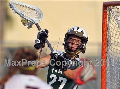 Thumbnail 3 in Tampa Catholic vs. Douglas (State Playoffs) photogallery.