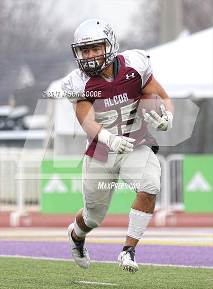 Thumbnail 1 in Alcoa vs. Covington (TSSAA Division I Class 3A Final)  photogallery.