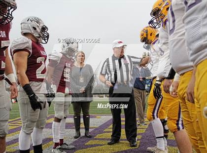 Thumbnail 1 in Alcoa vs. Covington (TSSAA Division I Class 3A Final)  photogallery.