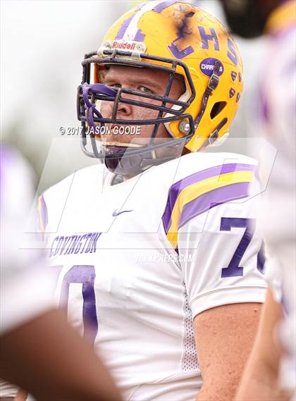 Thumbnail 1 in Alcoa vs. Covington (TSSAA Division I Class 3A Final)  photogallery.
