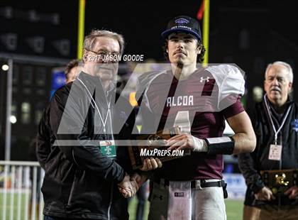 Thumbnail 1 in Alcoa vs. Covington (TSSAA Division I Class 3A Final)  photogallery.